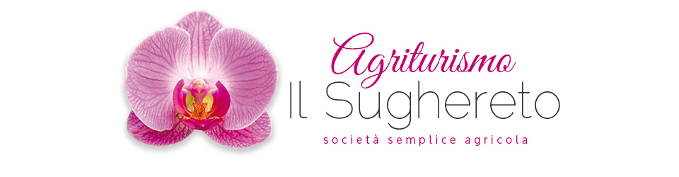 Cosa fare-       